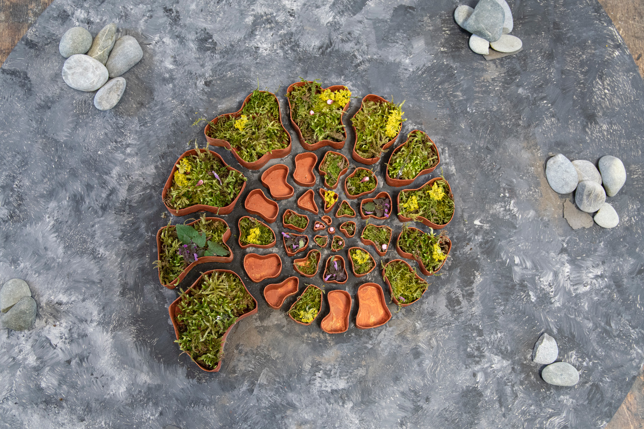 Der grüne Ammonit - Ein Skulptur-Garten