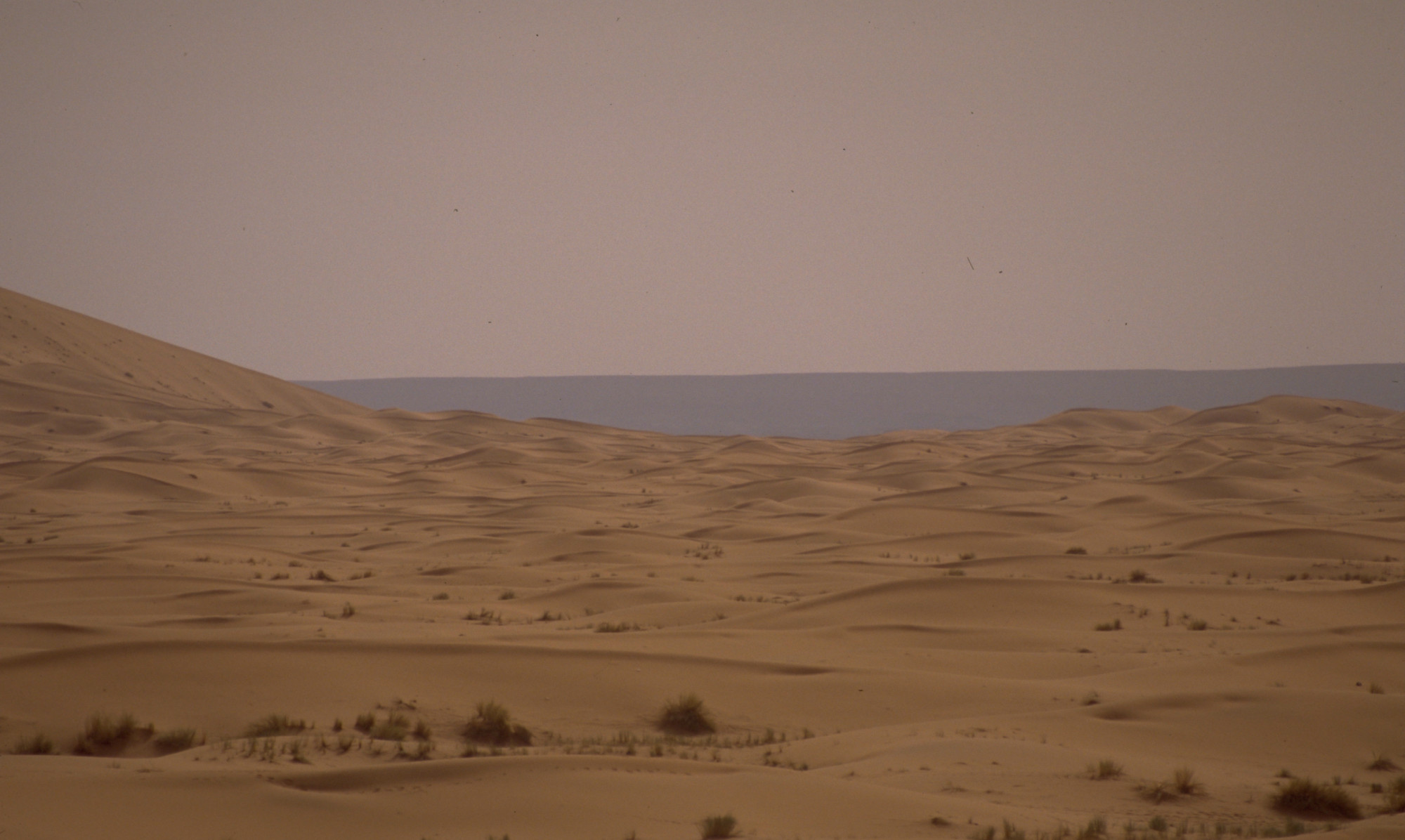 Die Sahara ist eine unendlich scheinende Sandwüste