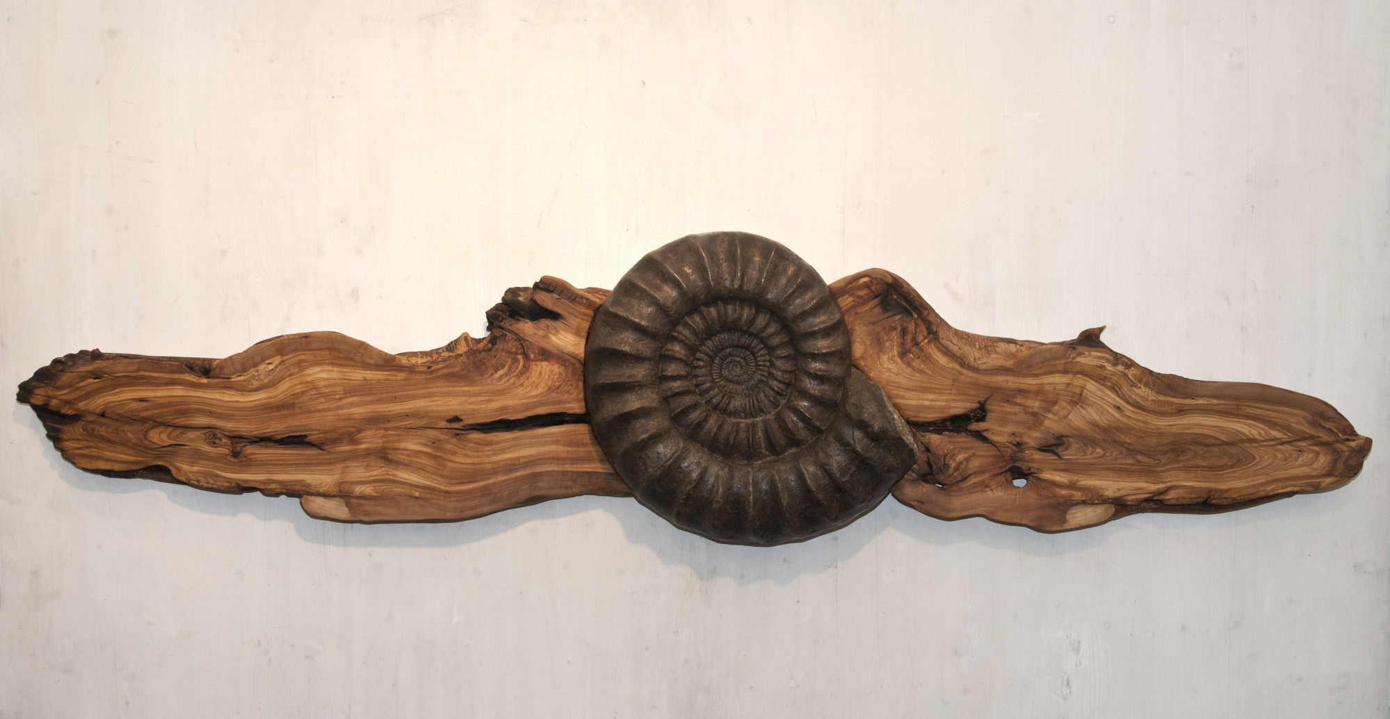 Wall sculpture - Buckland's Wings