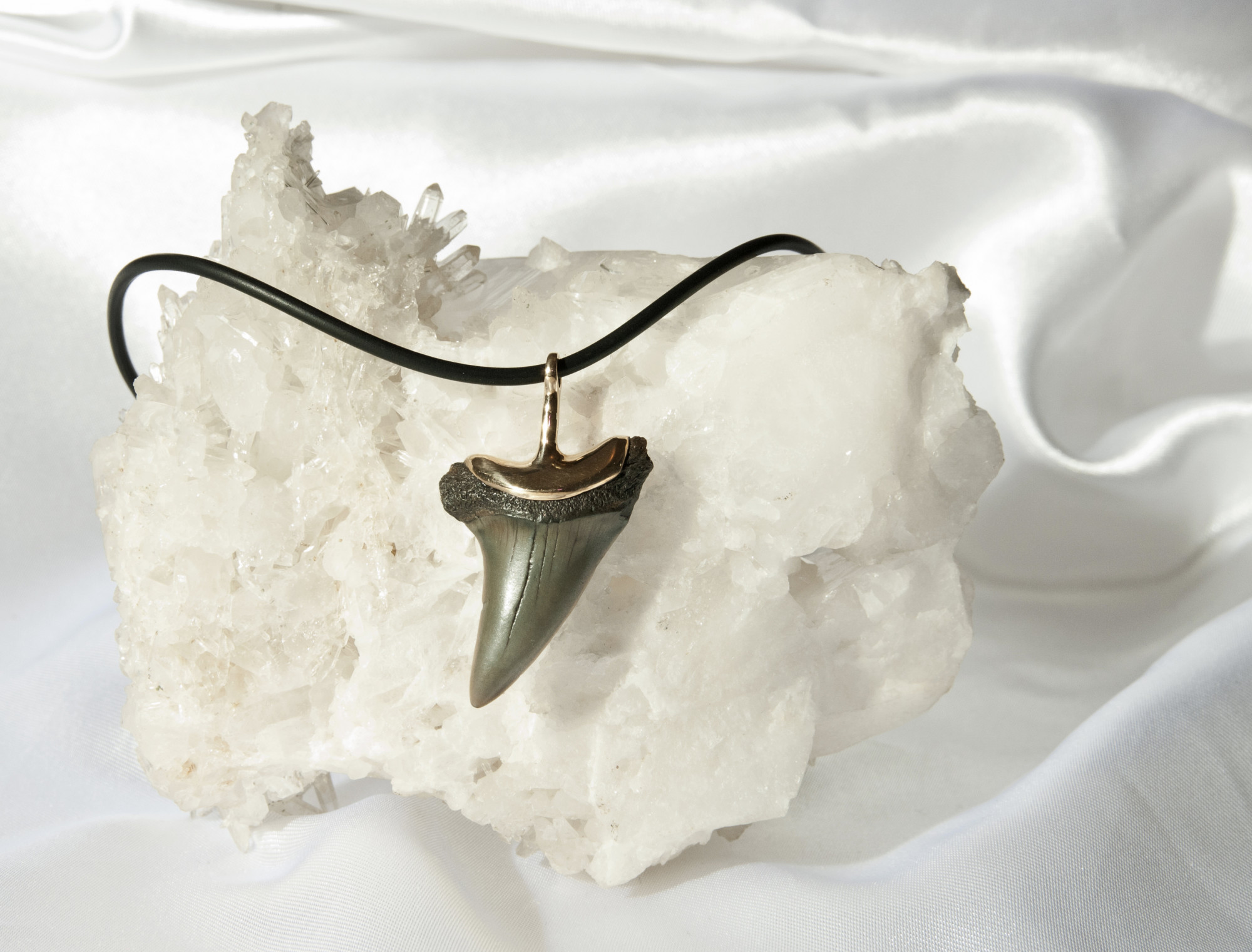 Fossilized shark tooth as a pendant